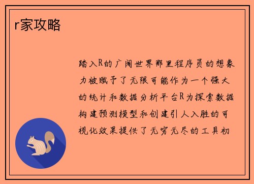 r家攻略