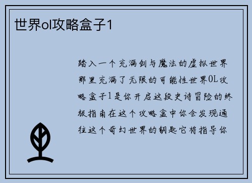 世界ol攻略盒子1