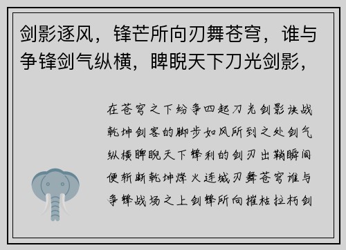 剑影逐风,锋芒所向刃舞苍穹,谁与争锋剑气纵横,睥睨天下刀光剑影,决战乾坤烽火连城,剑刃出鞘