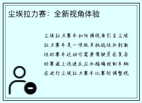 尘埃拉力赛:全新视角体验